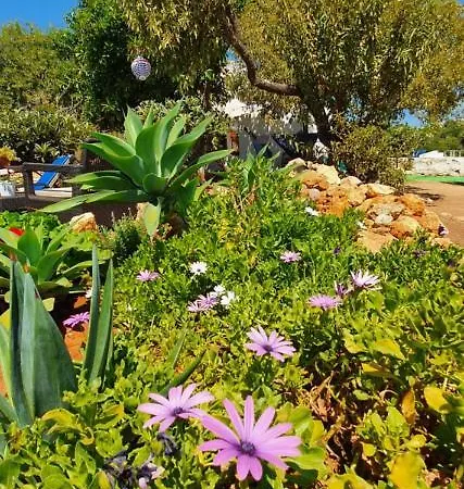 Hakuna Matata בנאגיל