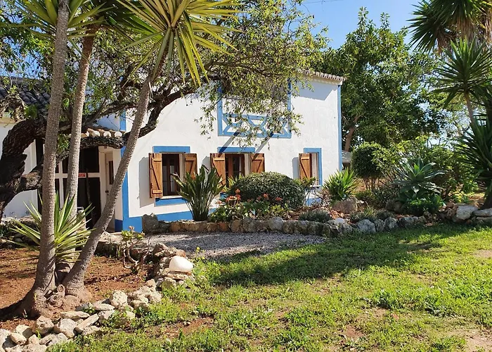 アパート Hakuna Matata *