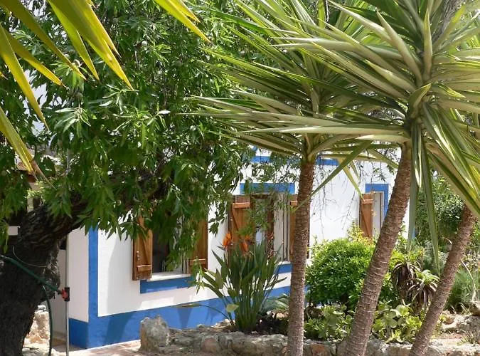 Hakuna Matata * ベナジル