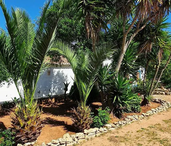 アパート Hakuna Matata *