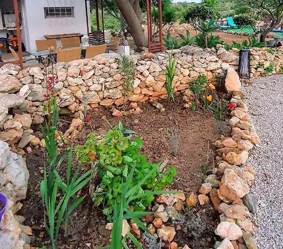 アパート Hakuna Matata *