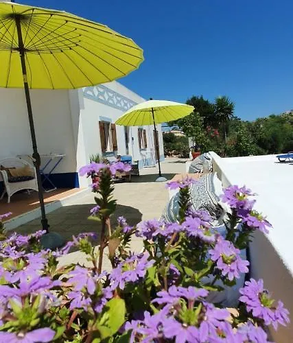 Hakuna Matata ベナジル