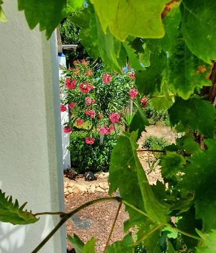 Hakuna Matata アパート ベナジル