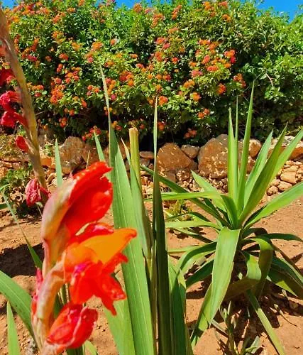 アパート Hakuna Matata ベナジル