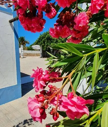 アパート Hakuna Matata ベナジル