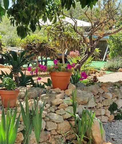 アパート Hakuna Matata