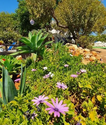 Hakuna Matata ベナジル