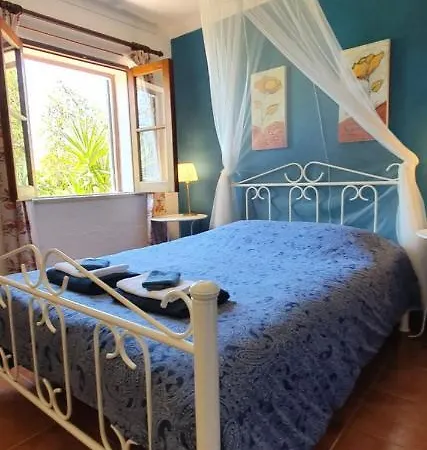 Hakuna Matata Apartman