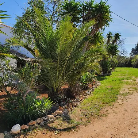 Hakuna Matata Lägenhet