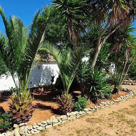 Lägenhet Hakuna Matata *