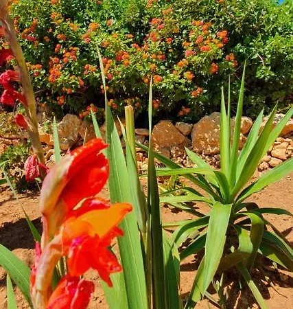 Lägenhet Hakuna Matata Benagil