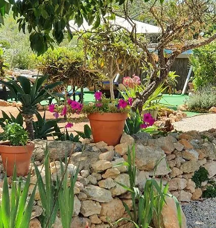 Lägenhet Hakuna Matata